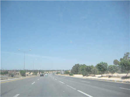 大型齒輥破碎機