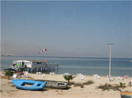 雙輥破碎機齒板結構