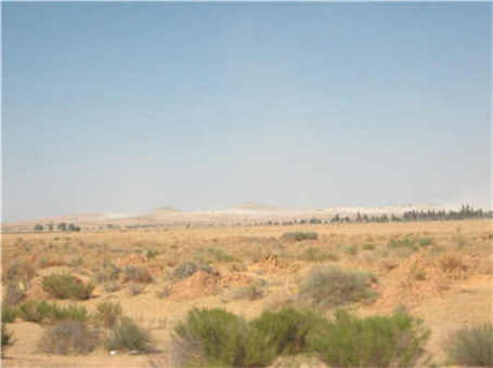 石灰石破碎機收塵