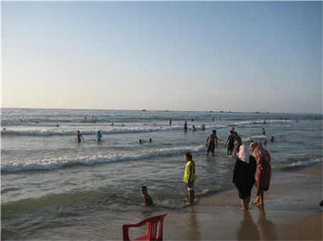 PF反擊式破碎機系列