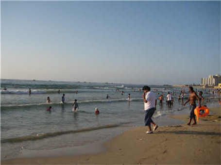 135型工兵牌破碎機(jī)市場(chǎng)價(jià)格