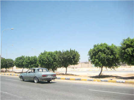 白泥瓷土碎石機(jī)價格