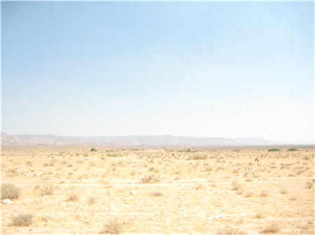 鳳陽武店礦山機械廠